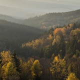 Amálino údolí (2019)