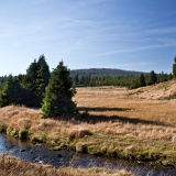 Březník II (2019)