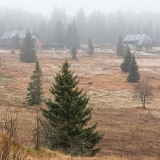 Mlhy na Filipově Huti (2019)