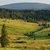 Kepelské Zhůří I (2020)