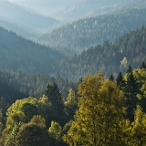 Kopce a údolí (2020)