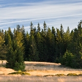 Zhůří I (2020)